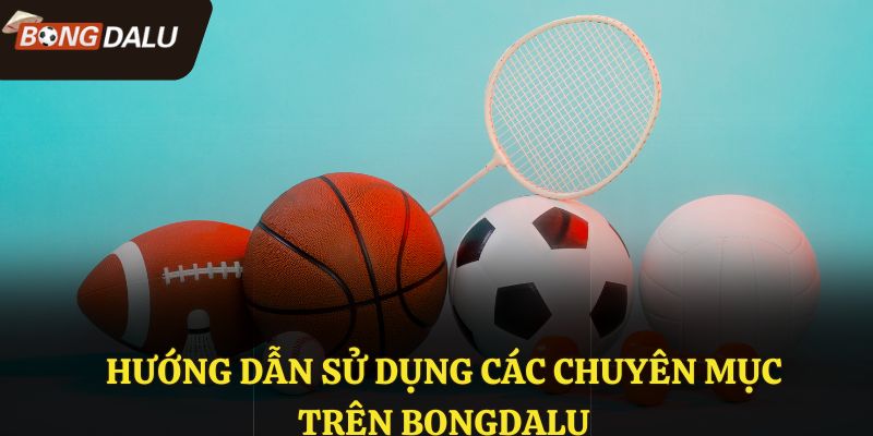 Hướng dẫn sử dụng các chuyên mục