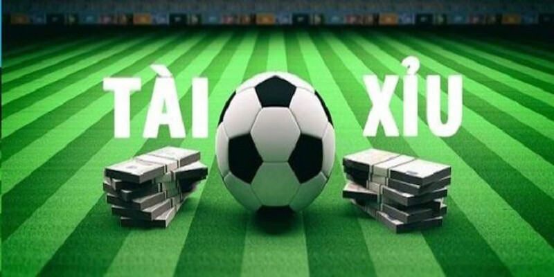 5 loại cược Tài Xỉu phổ biến hiện nay